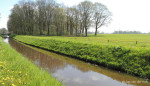Beneden Hammerwetering